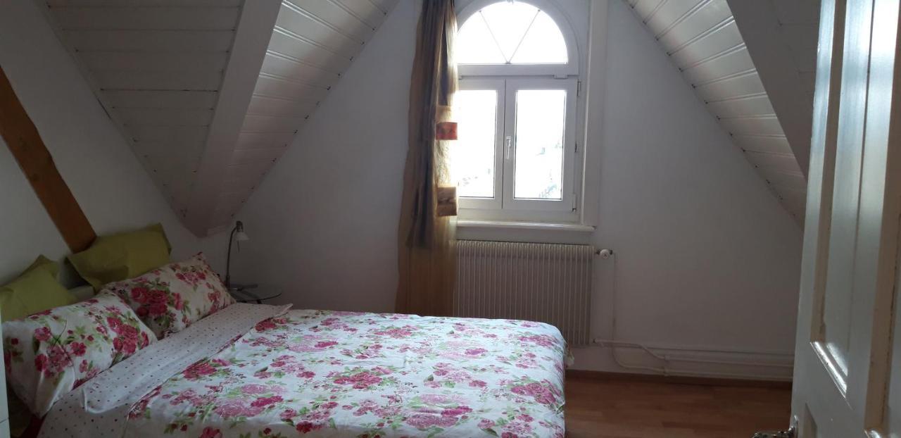 Ferienwohnung Stein Am Rhein Nahe Bahnhof Und Rhein Εξωτερικό φωτογραφία