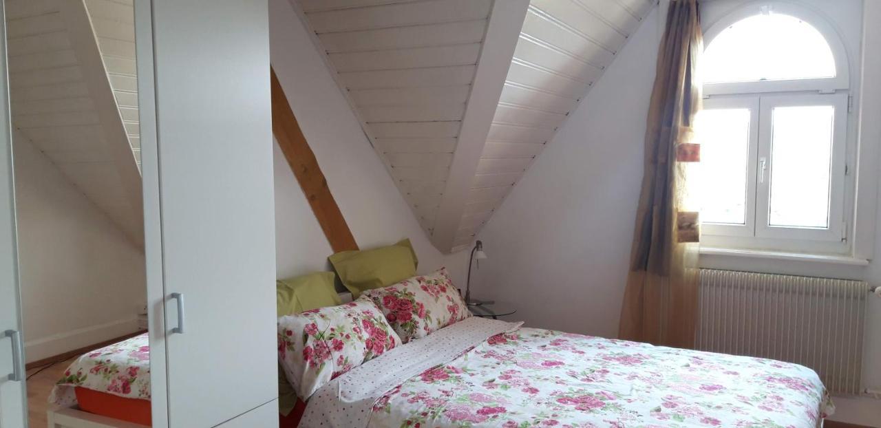 Ferienwohnung Stein Am Rhein Nahe Bahnhof Und Rhein Εξωτερικό φωτογραφία